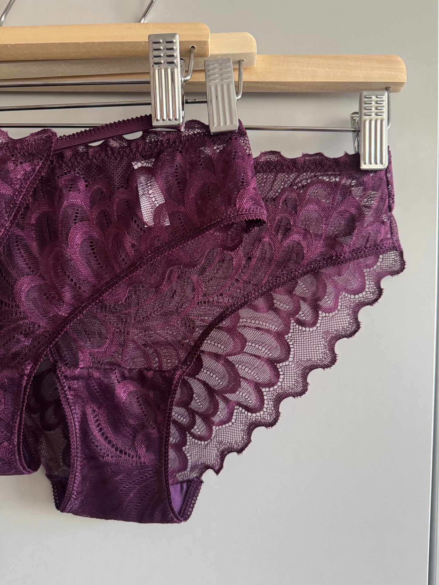 Peacock Lace Brief